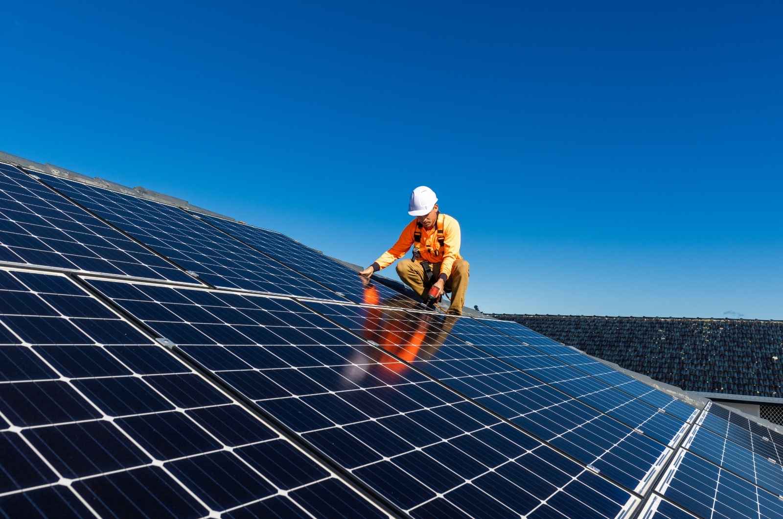 OGC אנרגיה: חלוצים בשירותי אנרגיה סולארית מקצועיים